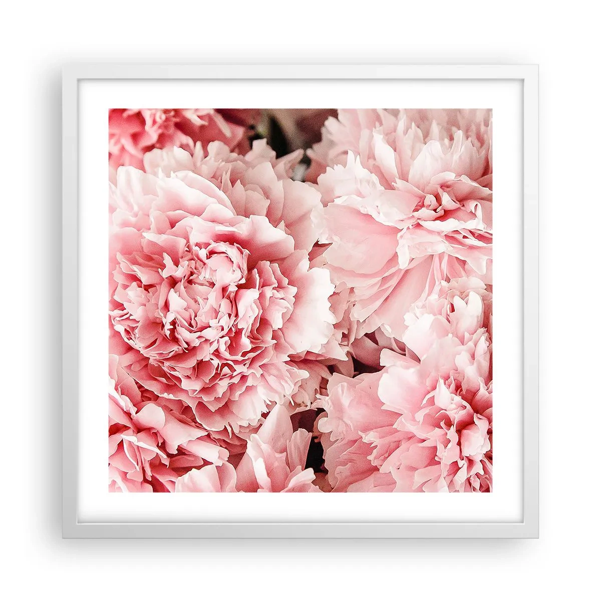 Poster in einem weißen Rahmen - Rosa Traum - 50x50 cm