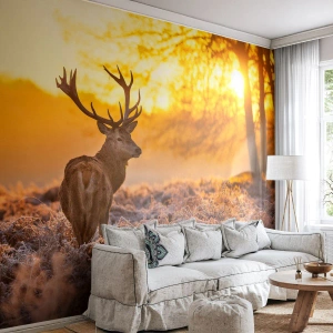 Fototapete Premium Sand - Ein Reh in den Strahlen der aufgehenden Sonne auf einer Lichtung - 100x70cm - König des Herbstwaldes - Moderne Wanddekoration für Wohnzimmer und Schlafzimmer ARTTOR