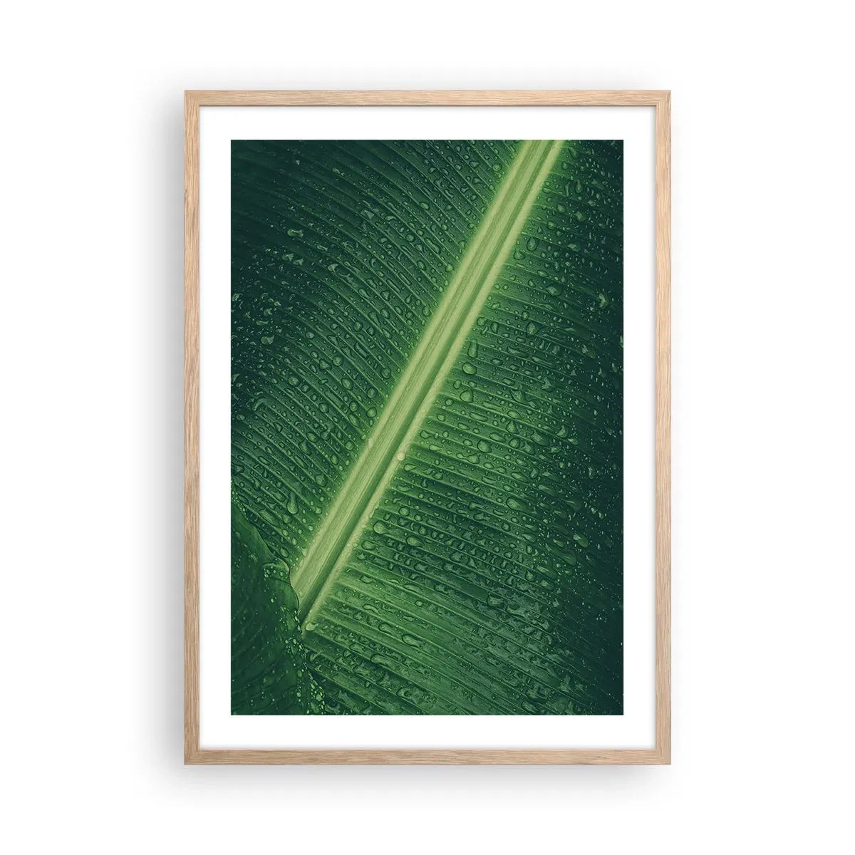 Poster in einem Rahmen aus heller Eiche - Die Struktur des Grüns - 50x70 cm