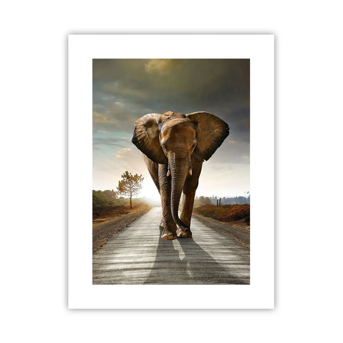 Poster - Und schon gar nicht in einem Porzellanlager - 30x40 cm