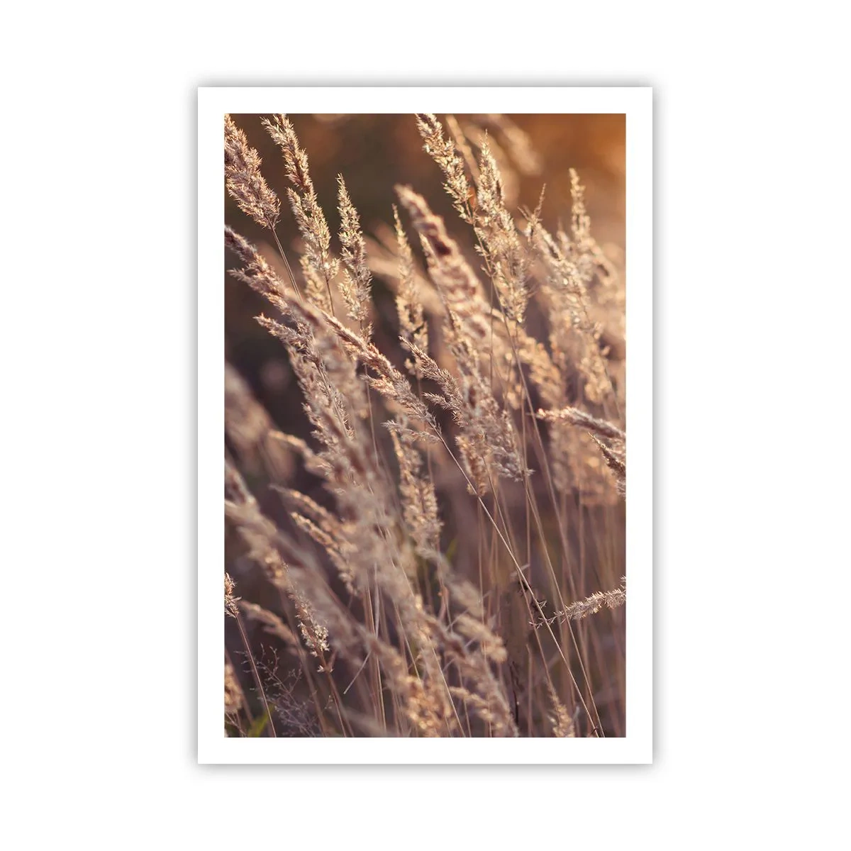 Poster - Bereit, den Herbst willkommen zu heißen - 61x91 cm