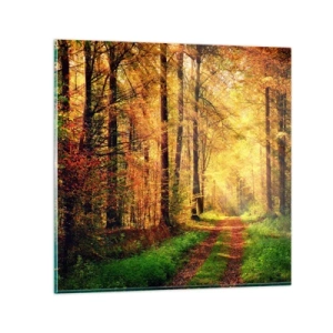 Glasbild - Bild auf glas - Waldgoldene Stille - 30x30 cm