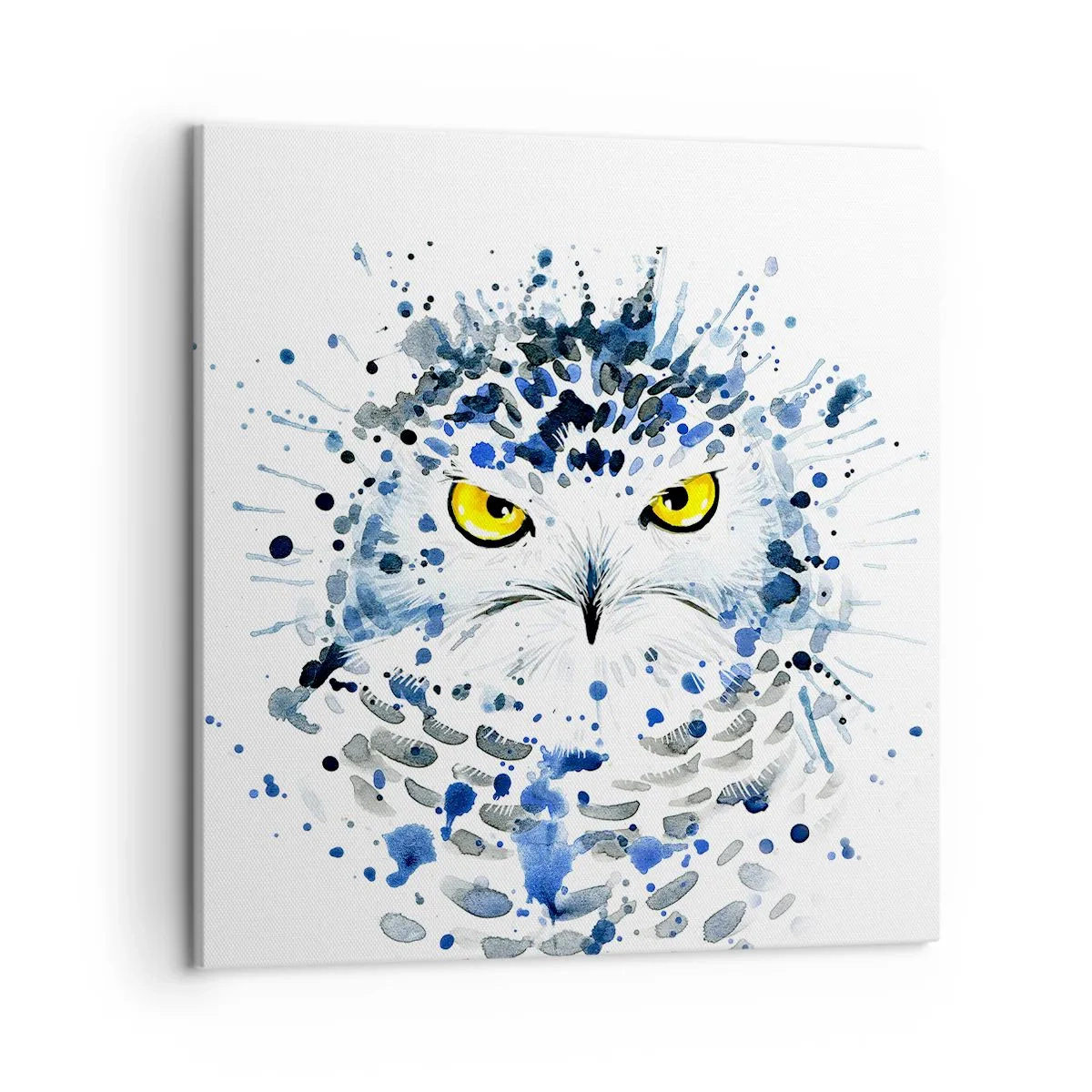 Bild auf Leinwand - Leinwandbild - Direkt in die Augen - 50x50 cm