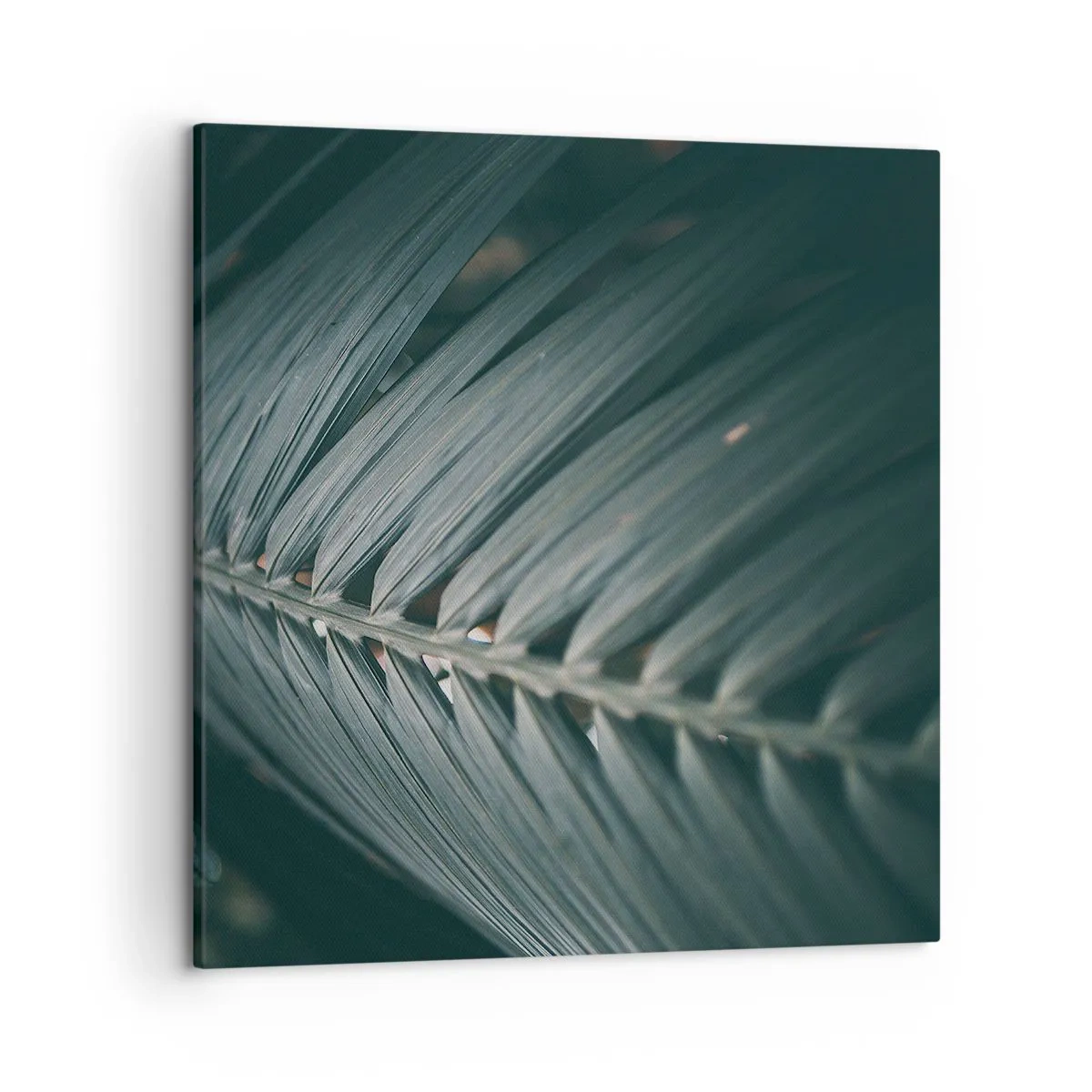 Bild auf Leinwand - Leinwandbild - Die Präzision der Natur - 50x50 cm