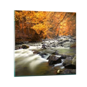 Glasbild - Bild auf glas - Ein Bach in einem goldenen Wald - 30x30 cm