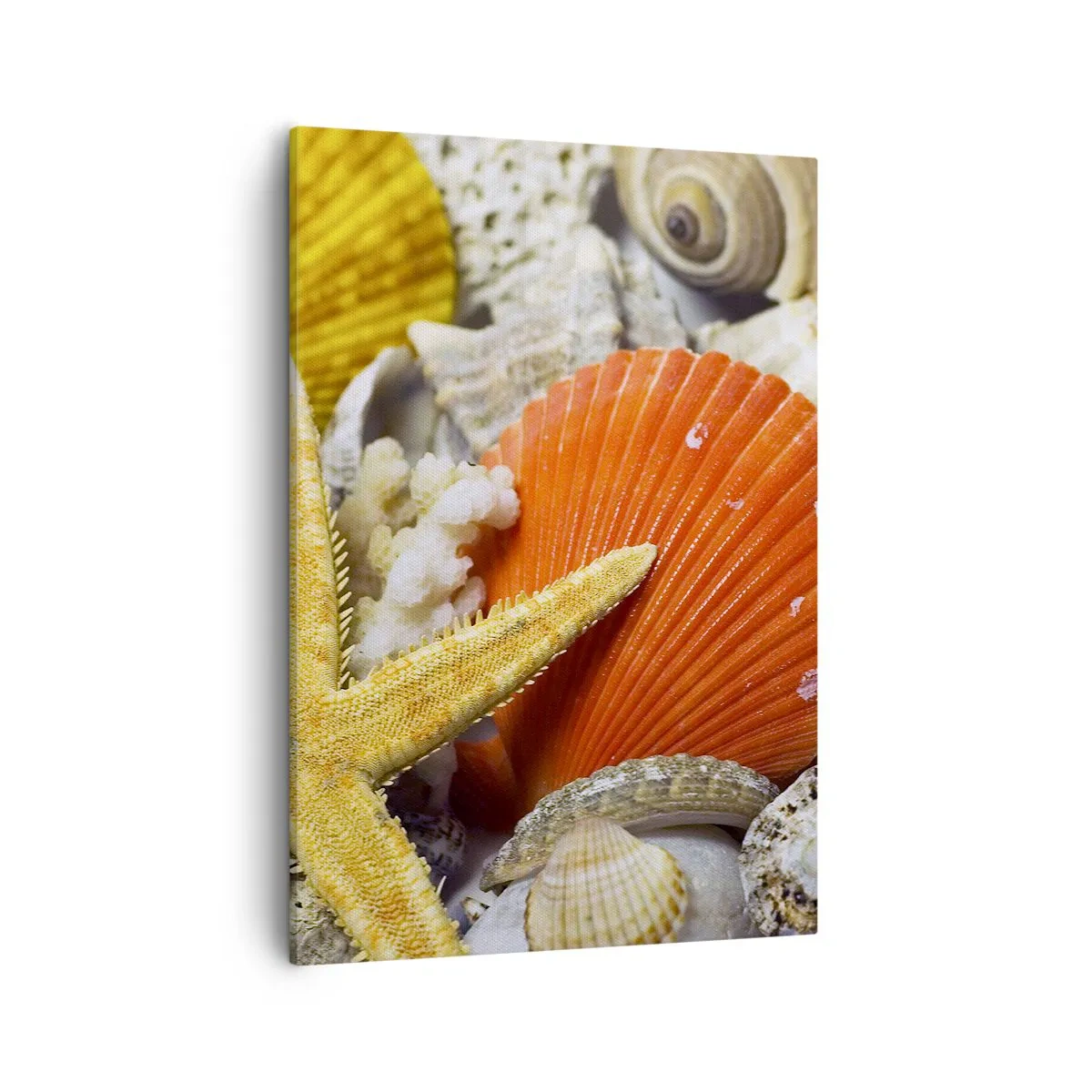 Bild auf Leinwand - Leinwandbild - Muscheln und Seesterne in einer Meereskomposition - 50x70cm - Schätze des Ozeans - Moderne Wanddekoration für Wohnzimmer und Schlafzimmer ARTTOR