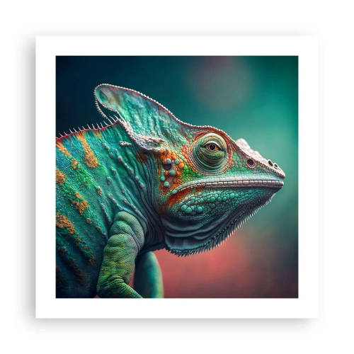 Poster - Siehst du mich? Nicht gut… - 50x50 cm