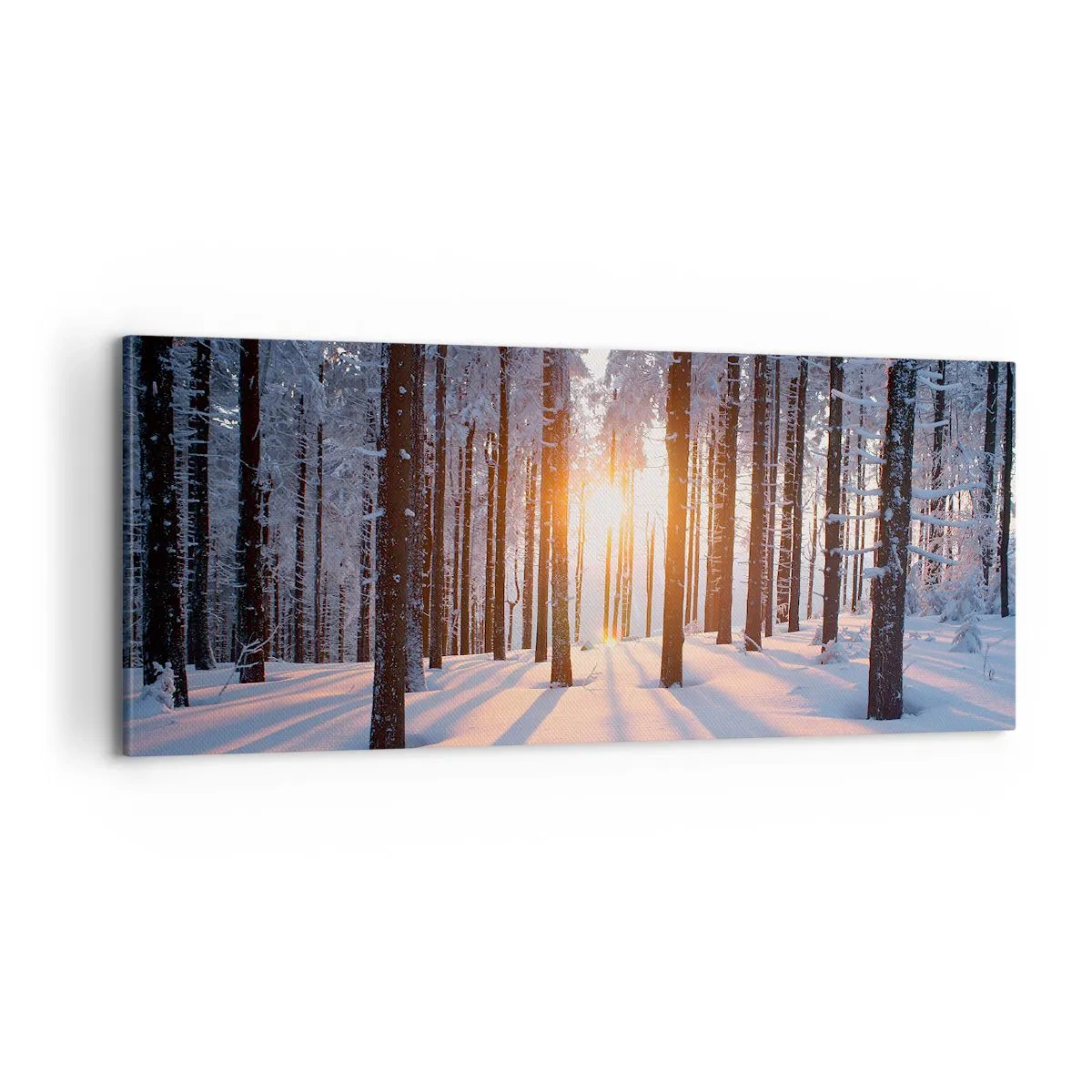 Bild auf Leinwand - Leinwandbild - Ganz klar schwarz auf weiß - 100x40 cm