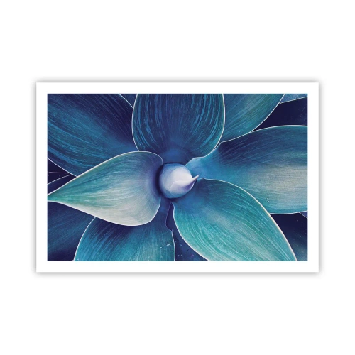 Poster - Bläulich vom Himmel - 91x61 cm