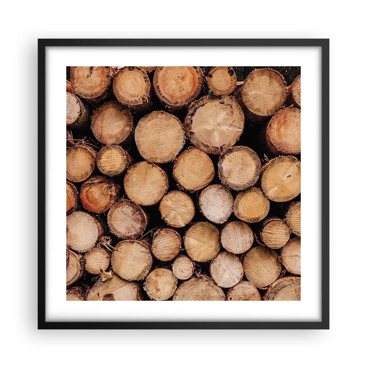 Poster in einem schwarzem Rahmen - Ein neuer Anfang - 50x50 cm