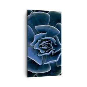 Bild auf Leinwand - Leinwandbild - Wüstenblume - 45x80 cm