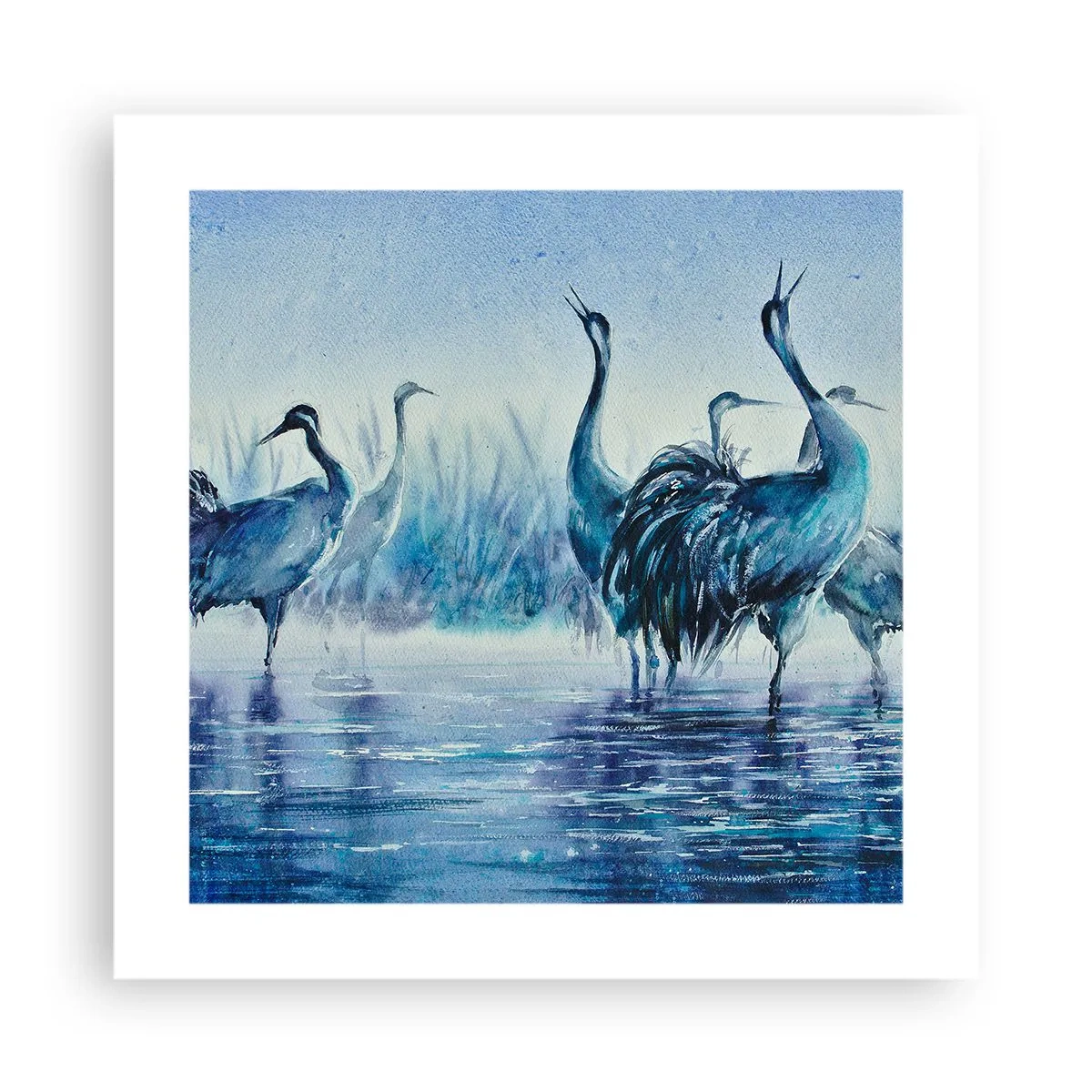 Poster - Morgentliches Treffen - 40x40 cm