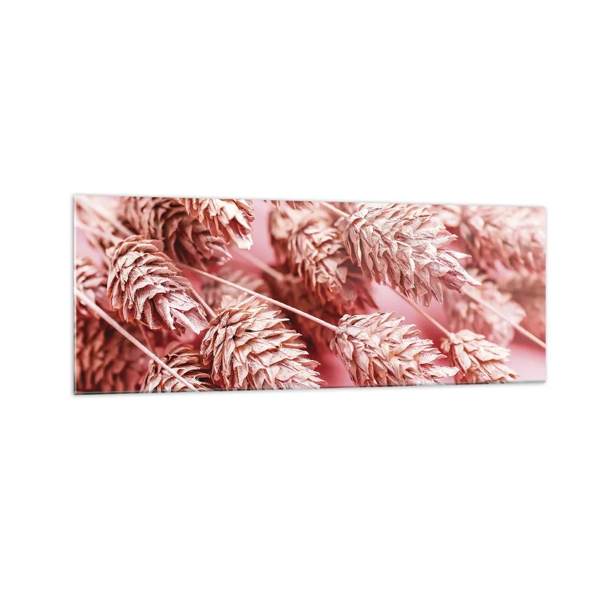 Glasbild - Bild auf glas - Nahaufnahme der rosa gefärbten Ohren - 140x50cm - Eine Blumenkaskade in Rosa - Moderne Wanddekoration für Wohnzimmer und Schlafzimmer ARTTOR