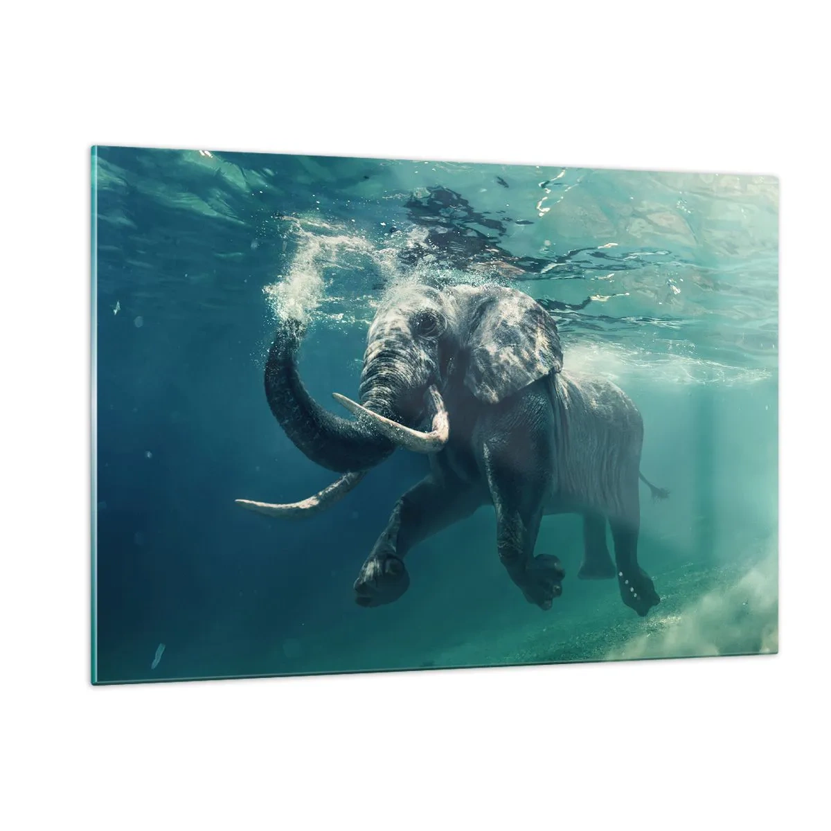 Glasbild - Bild auf glas - Ein Elefant, der unter Wasser im blauen Ozean schwimmt - 120x80cm - Jeder schwimmt gerne - Moderne Wanddekoration für Wohnzimmer und Schlafzimmer ARTTOR