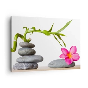 Bild auf Leinwand - Leinwandbild - Bambus und rosa Blume auf Steinen im Zen-Stil - 70x50cm - Farben des Lebens und der Dauer - Moderne Wanddekoration für Wohnzimmer und Schlafzimmer ARTTOR