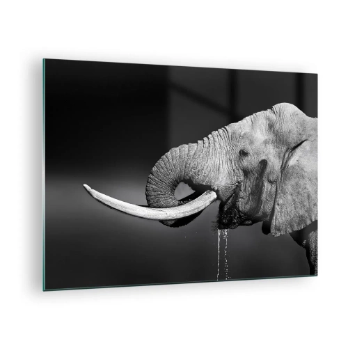 Glasbild - Bild auf glas - Schwarz-Weiß-Porträt eines Elefanten mit Rüssel - 70x50cm - Ja, gut jetzt - Moderne Wanddekoration für Wohnzimmer und Schlafzimmer ARTTOR