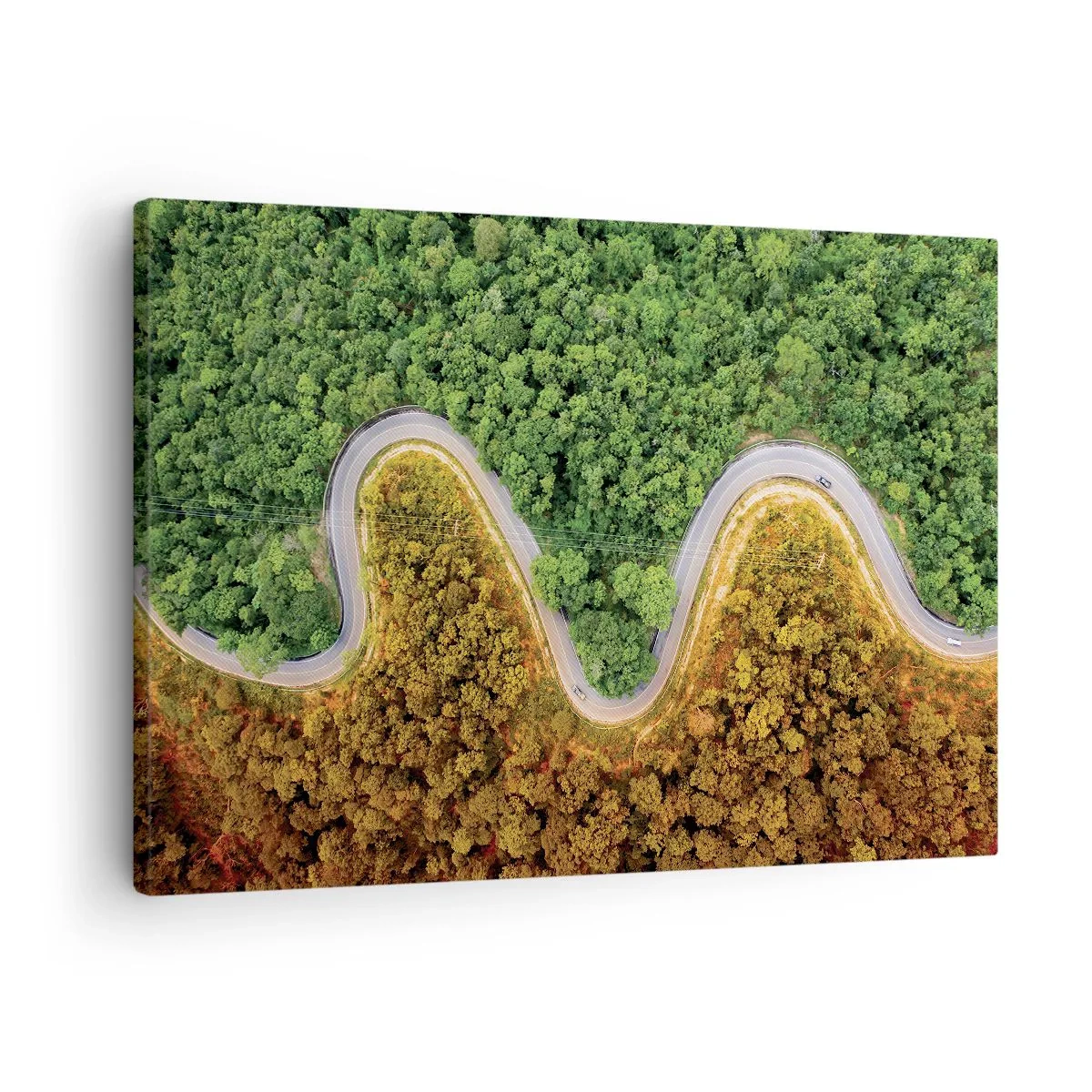 Bild auf Leinwand - Leinwandbild - Eine kurvenreiche Straße durch den Wald aus der Vogelperspektive gesehen - 70x50cm - Grenzen und Durchbrüche - Moderne Wanddekoration für Wohnzimmer und Schlafzimmer ARTTOR