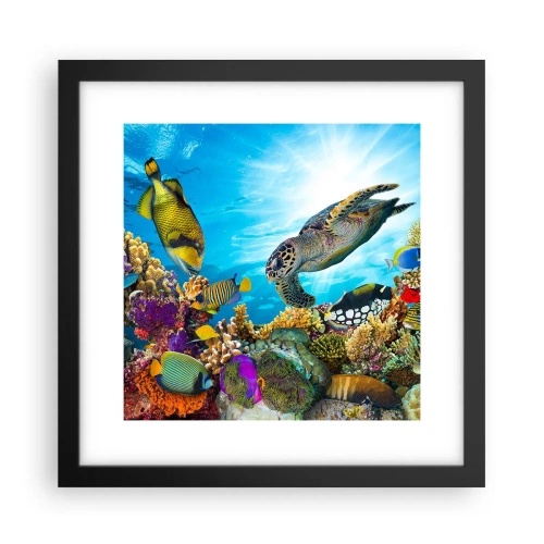 Poster in einem schwarzem Rahmen - Korallenpromenade - 30x30 cm