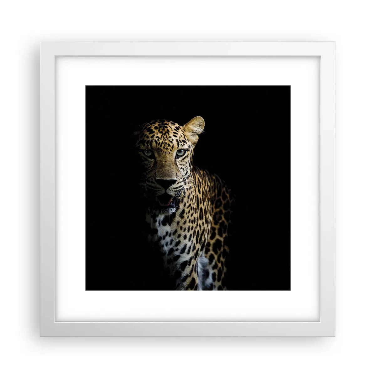Poster in einem weißen Rahmen - Dunkle Schönheit - 30x30 cm