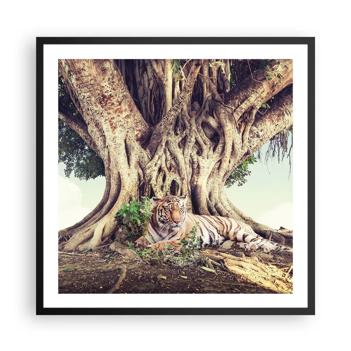 Poster in einem schwarzem Rahmen - Blick aus dem Buch Genesis - 60x60 cm