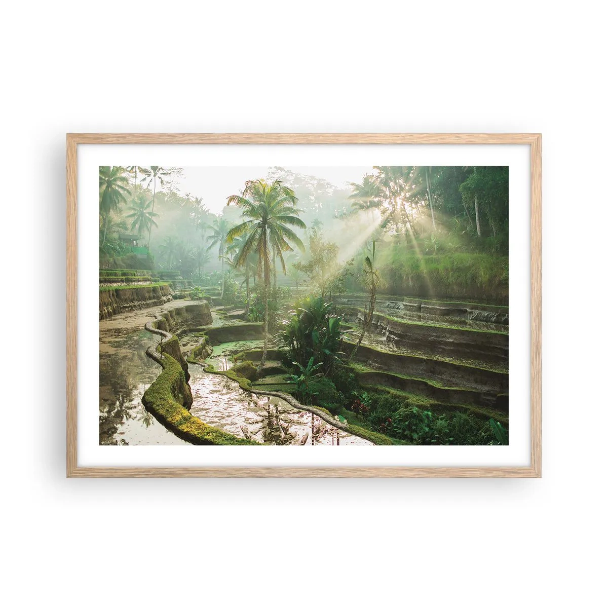 Poster in einem Rahmen aus heller Eiche - In der Sonne aufwachsen - 70x50 cm