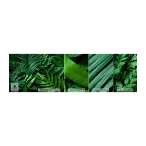 Fototapeten Muster Selbstklebend Deluxe Sticker - Eingebettet ins Grüne - Exotische Pflanze, Palmblatt, Monstera-Blatt - 100x30 cm