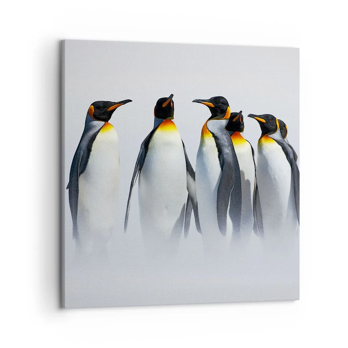 Bild auf Leinwand - Leinwandbild - Treffen in Abendkleidern - 50x50 cm