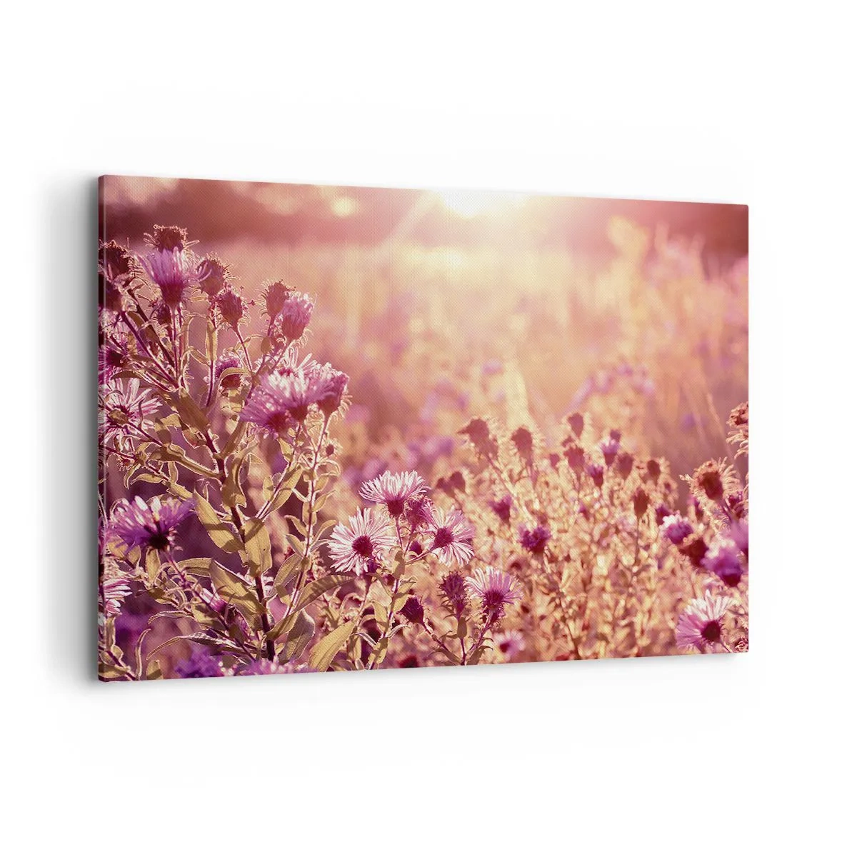 Bild auf Leinwand - Leinwandbild - Wiese im Licht der untergehenden Sonne - 120x80cm - Bevor der Sommer vorbei ist - Moderne Wanddekoration für Wohnzimmer und Schlafzimmer ARTTOR