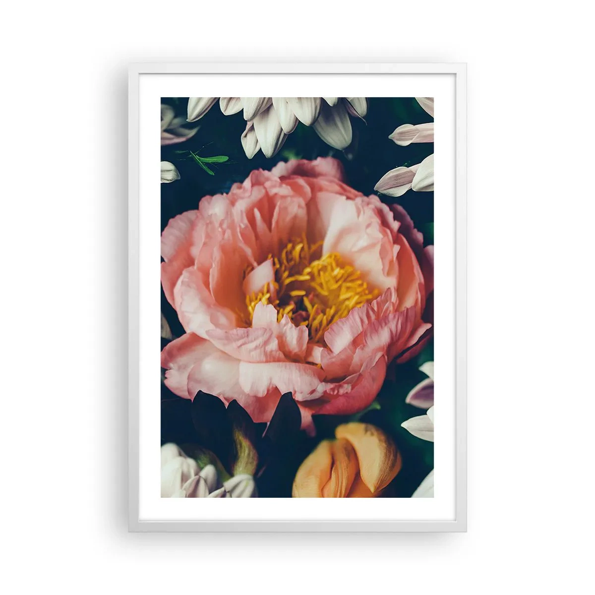 Poster in einem weißen Rahmen - Mit barocker Pracht - 50x70 cm