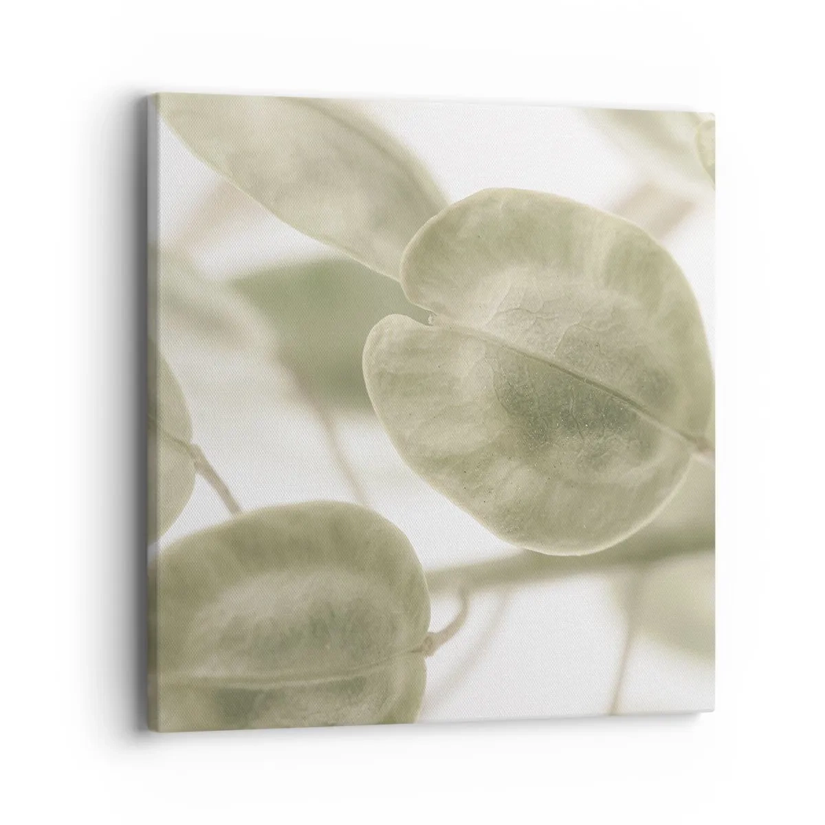 Bild auf Leinwand - Leinwandbild - Am Anfang waren Blätter... - 40x40 cm