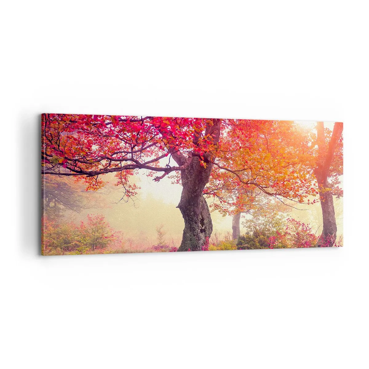 Bild auf Leinwand - Leinwandbild - Blühende Raserei - 100x40 cm