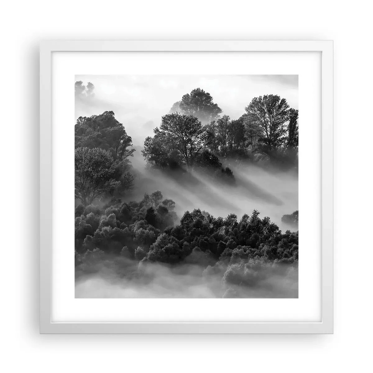 Poster in einem weißen Rahmen - Aufstehend aus dem Schlaf - 40x40 cm