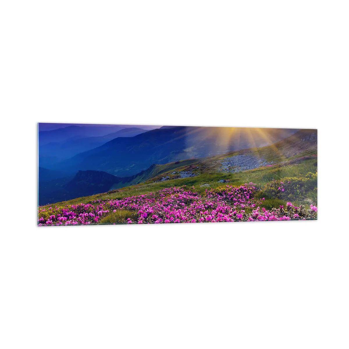 Glasbild - Bild auf glas - Eine blühende Wiese mit Blick auf die Berge bei Sonnenuntergang - 160x50cm - … Und drumherum duftet es nach Latschenkiefer und dem Duft von Kräutern - Moderne Wanddekoration für Wohnzimmer und Schlafzimmer ARTTOR