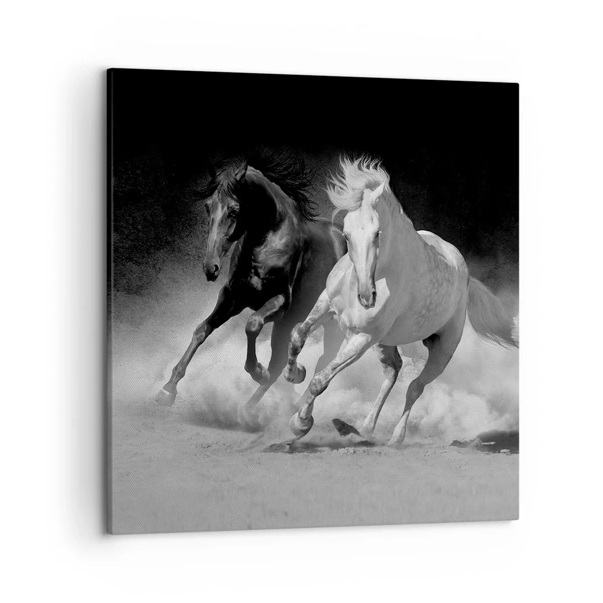 Bild auf Leinwand - Leinwandbild - Galopp der Freiheit - 50x50 cm