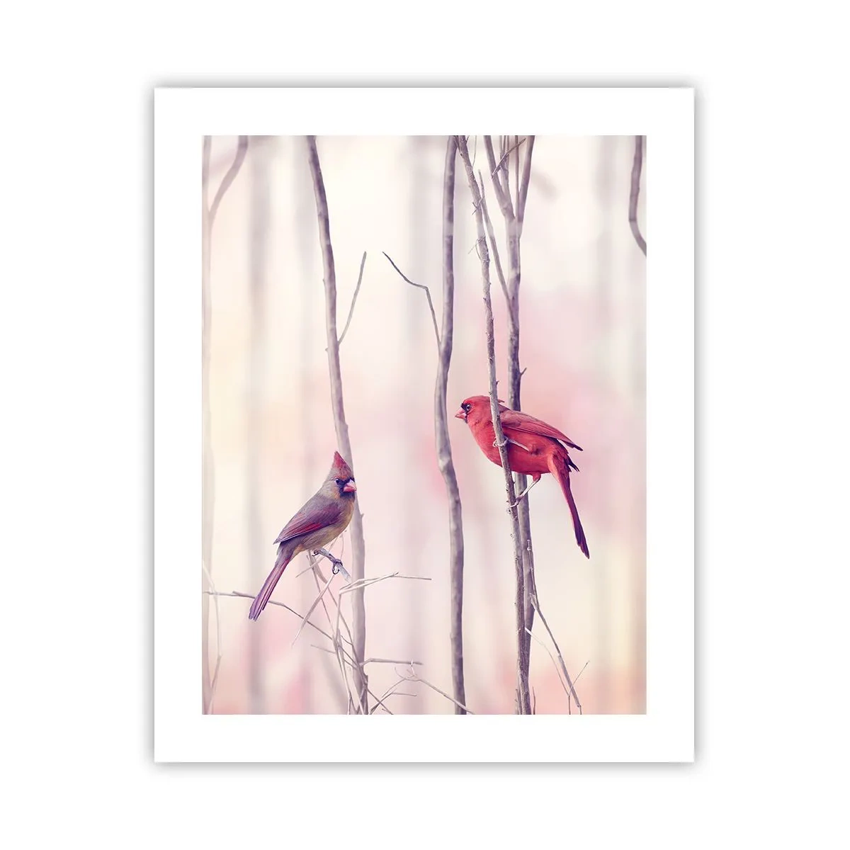 Poster - Geschichte vom rosa Wald - 40x50 cm