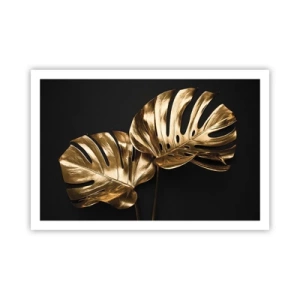 Poster - Die Schätze der Natur - 91x61 cm