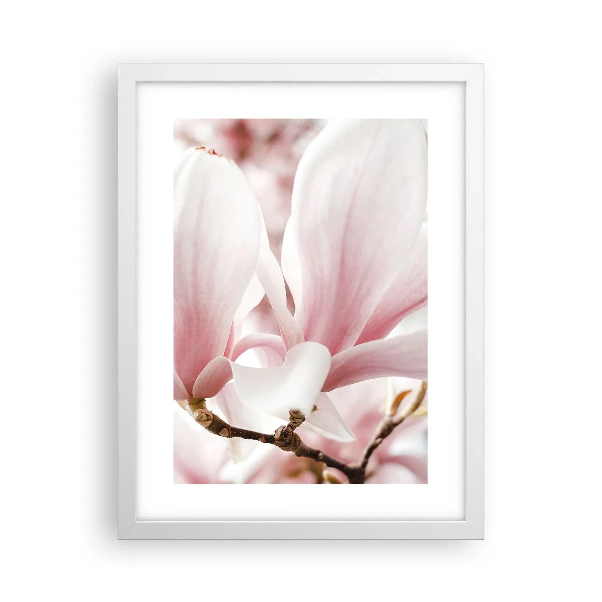 Poster in einem weißen Rahmen - Eine Fülle von Zärtlichkeit - 30x40 cm