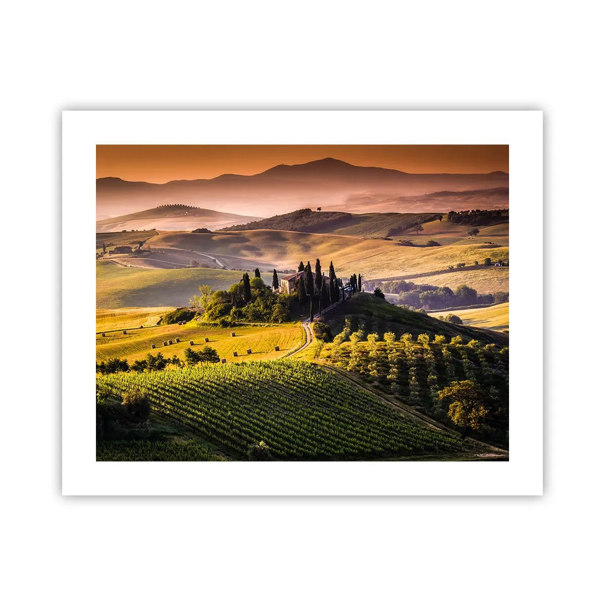 Poster - Arkadien - die toskanische Landschaft - 50x40 cm