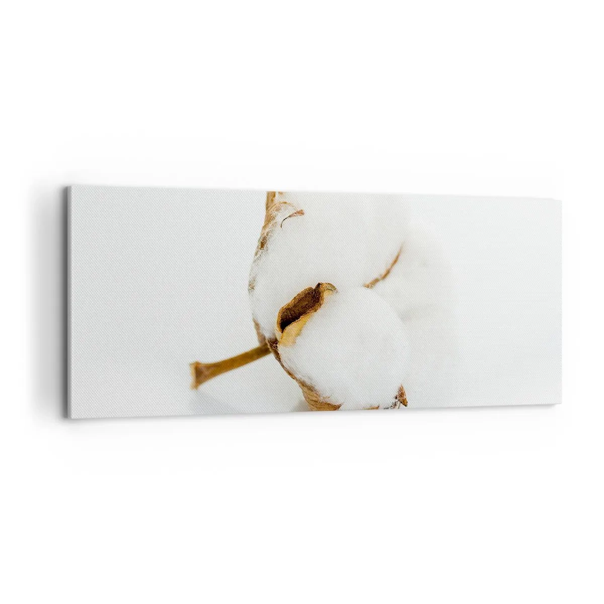 Bild auf Leinwand - Leinwandbild - Von Natur aus weich - 100x40 cm