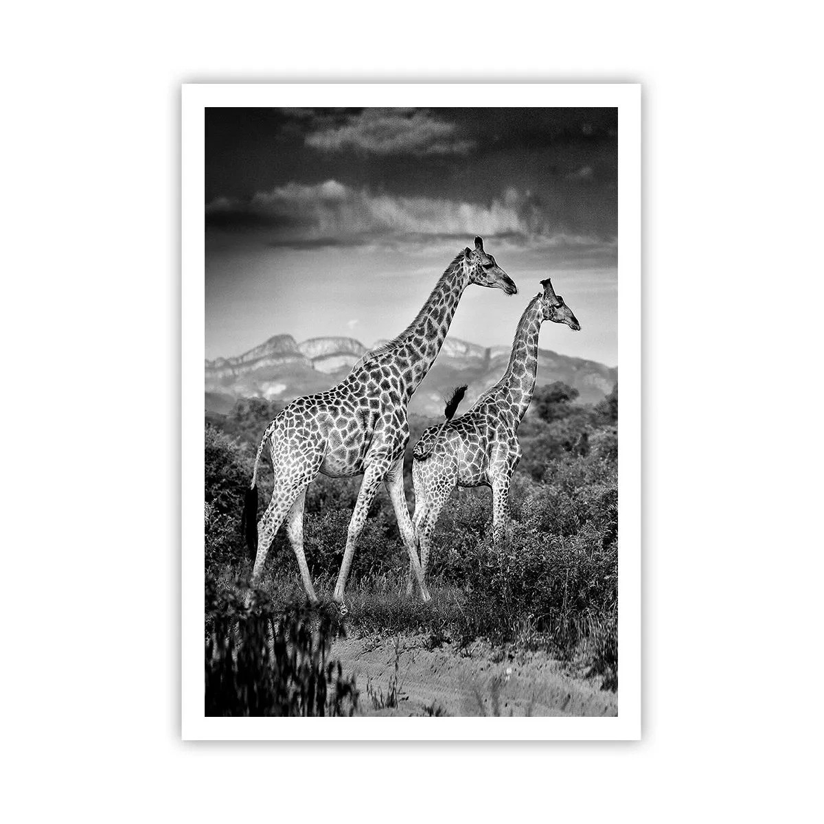 Poster - Hohe Sphären in Afrika - 70x100 cm
