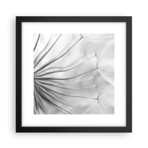 Poster in einem schwarzem Rahmen - Löwenzahn, Drachen - 30x30 cm