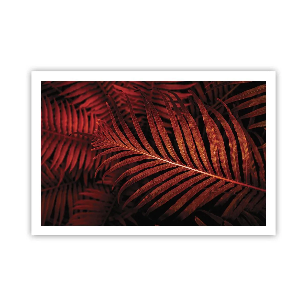 Poster - Die Hitze des Lebens - 91x61 cm