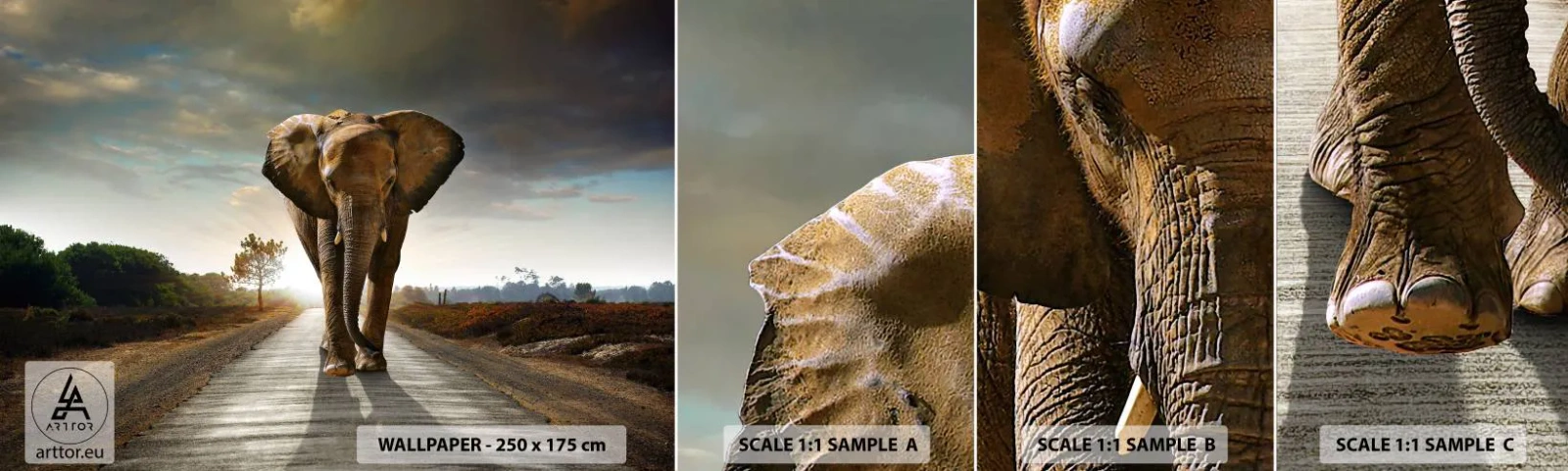 Fototapetenmuster Standard Eco - Und schon gar nicht in einem Porzellanlager - Elefant, Landschaft, Natur - 100x30 cm