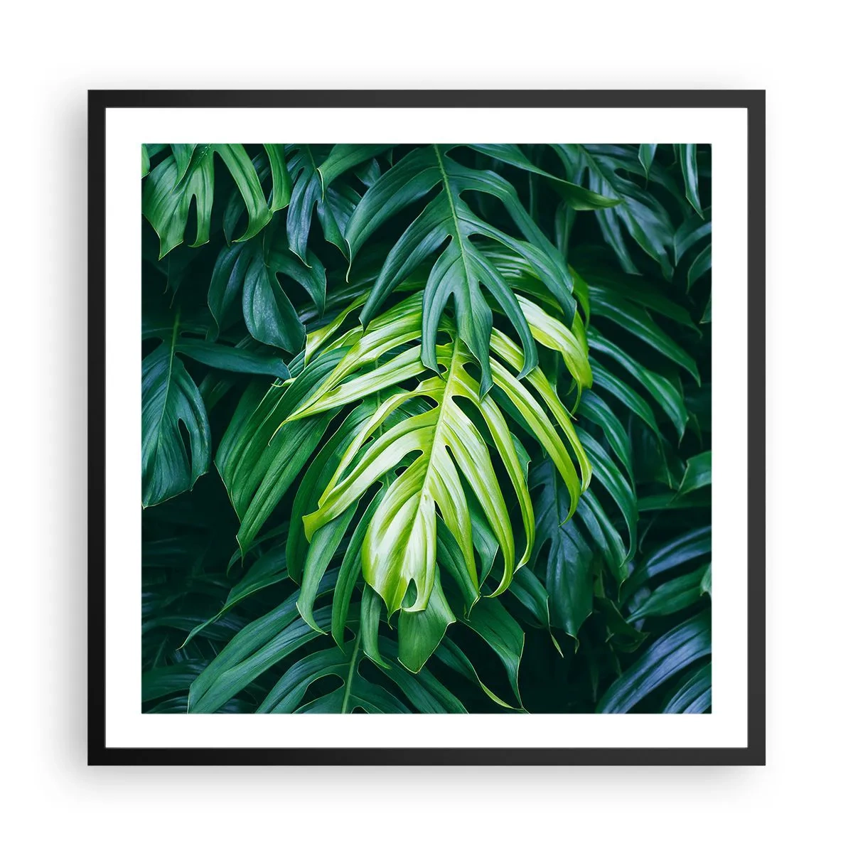 Poster in einem schwarzem Rahmen - Tauchen Sie ein in die Frische - 60x60 cm