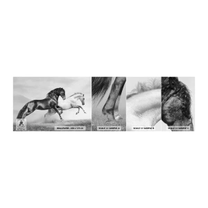 Fototapetenmuster Standard Eco - Engel und Dämonen - Tiere, Pferde, Natur - 100x30 cm