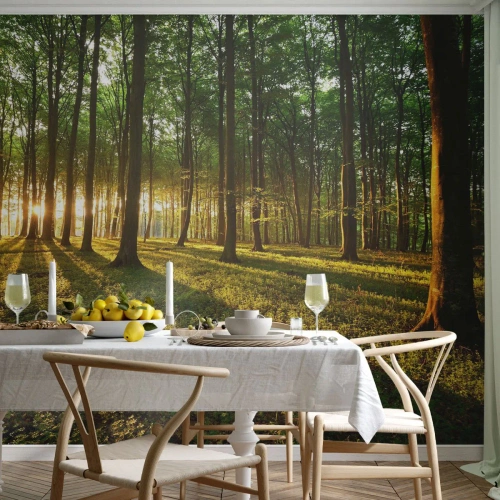 Selbstklebende Fototapete Deluxe Sticker - Alle Frühlingsfotografie - Landschaft, Wald, Natur - 450x315 cm