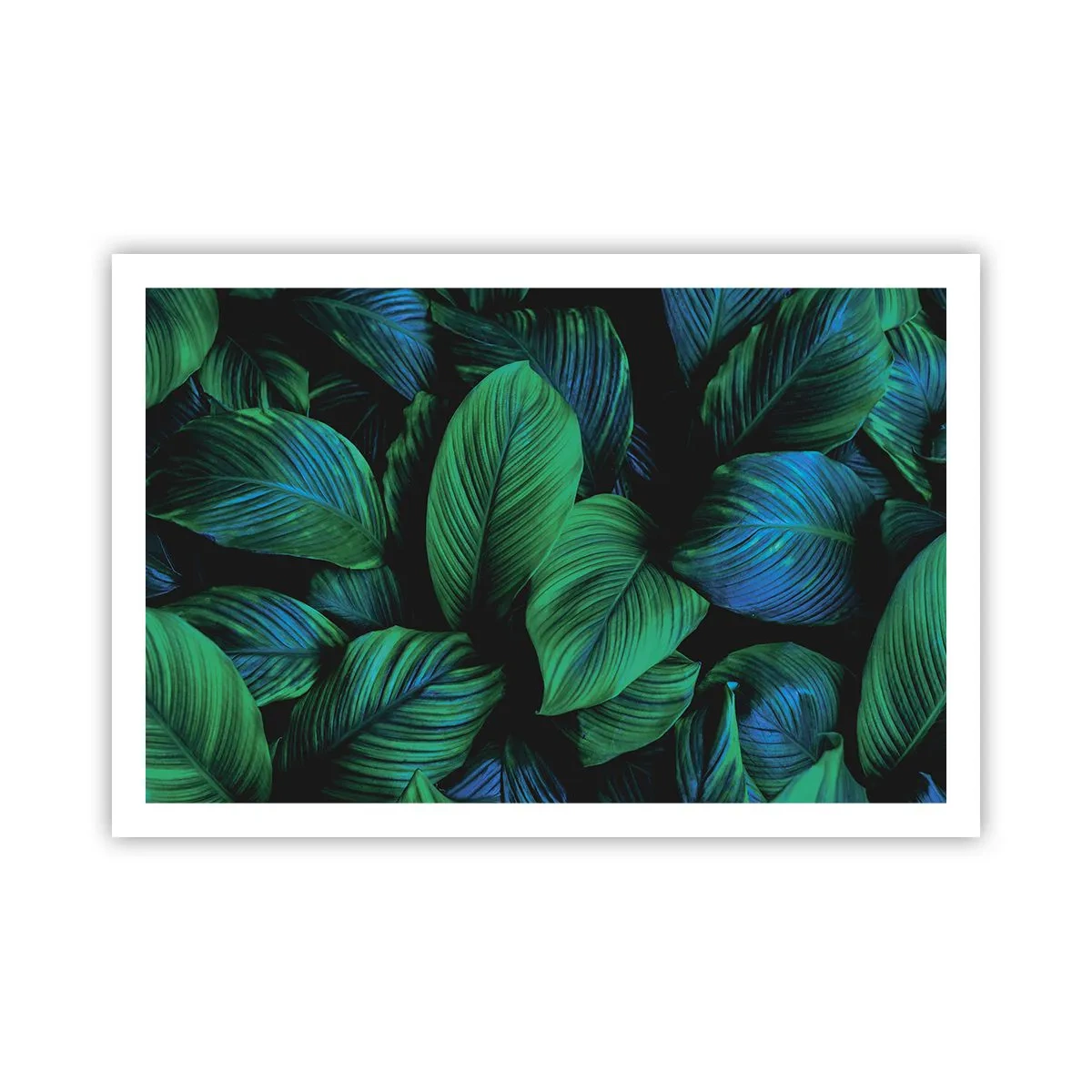 Poster - In der grünen Menge - 91x61 cm