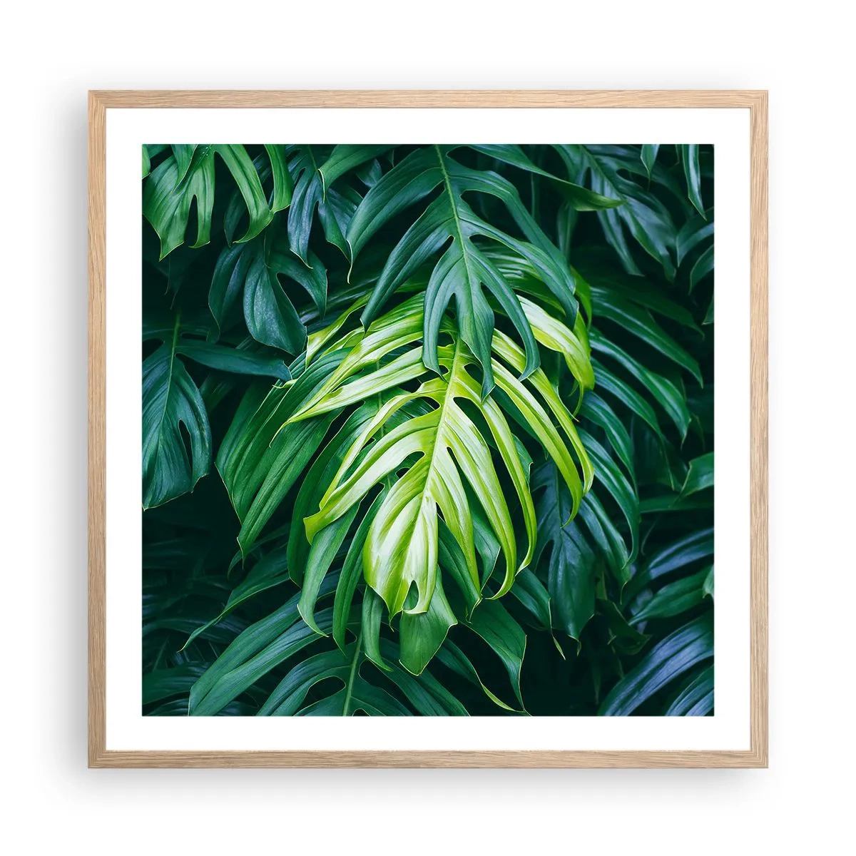 Poster in einem Rahmen aus heller Eiche - Tauchen Sie ein in die Frische - 60x60 cm