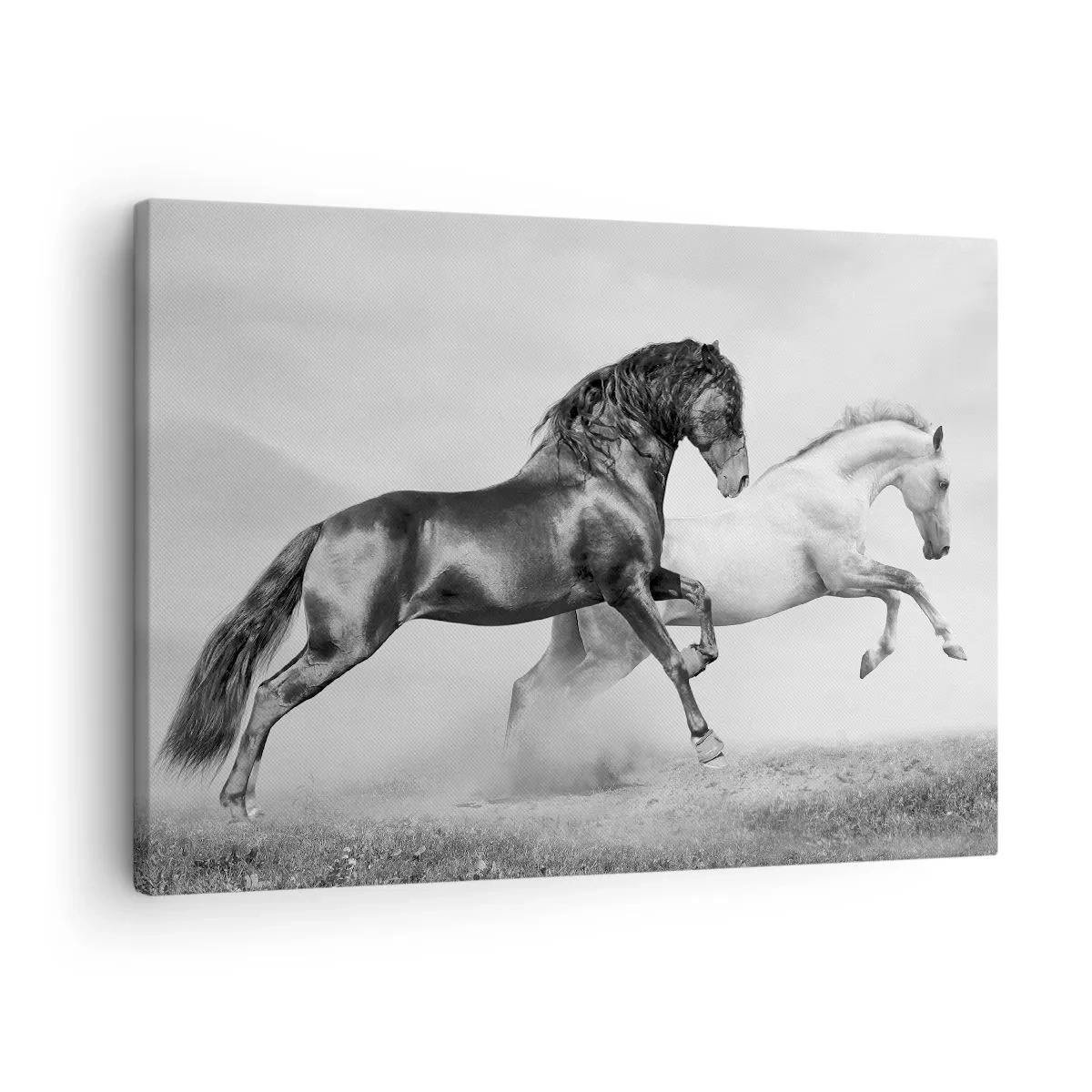 Bild auf Leinwand - Leinwandbild - Zwei galoppierende Pferde in einer dynamischen Schwarz-Weiß-Komposition - 70x50cm - Engel und Dämonen - Moderne Wanddekoration für Wohnzimmer und Schlafzimmer ARTTOR