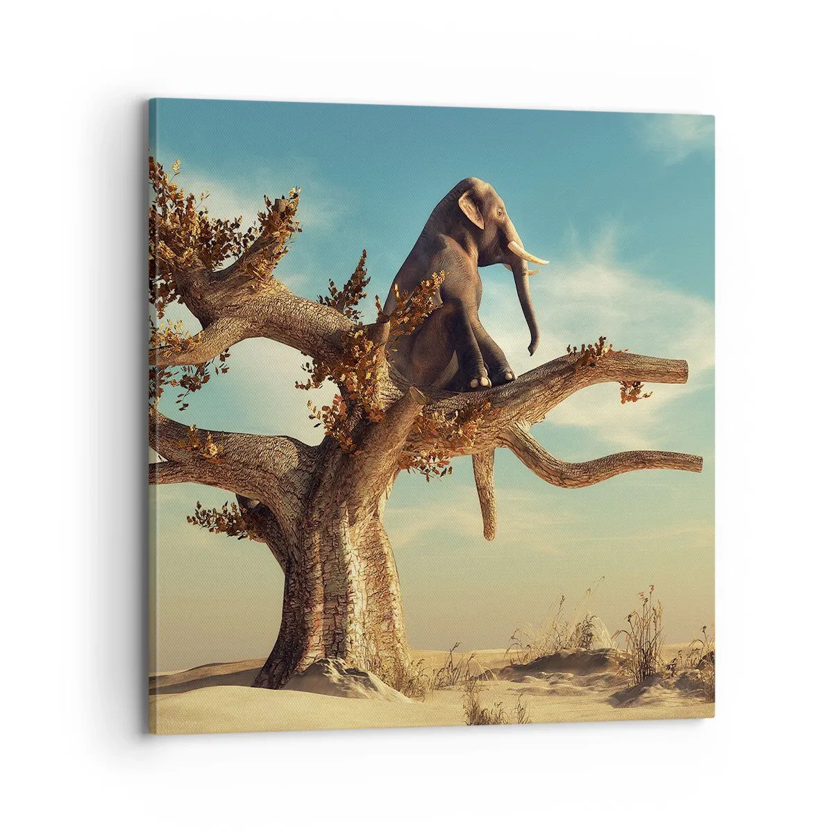 Bild auf Leinwand - Leinwandbild - Ein neuer Standpunkt - 70x70 cm